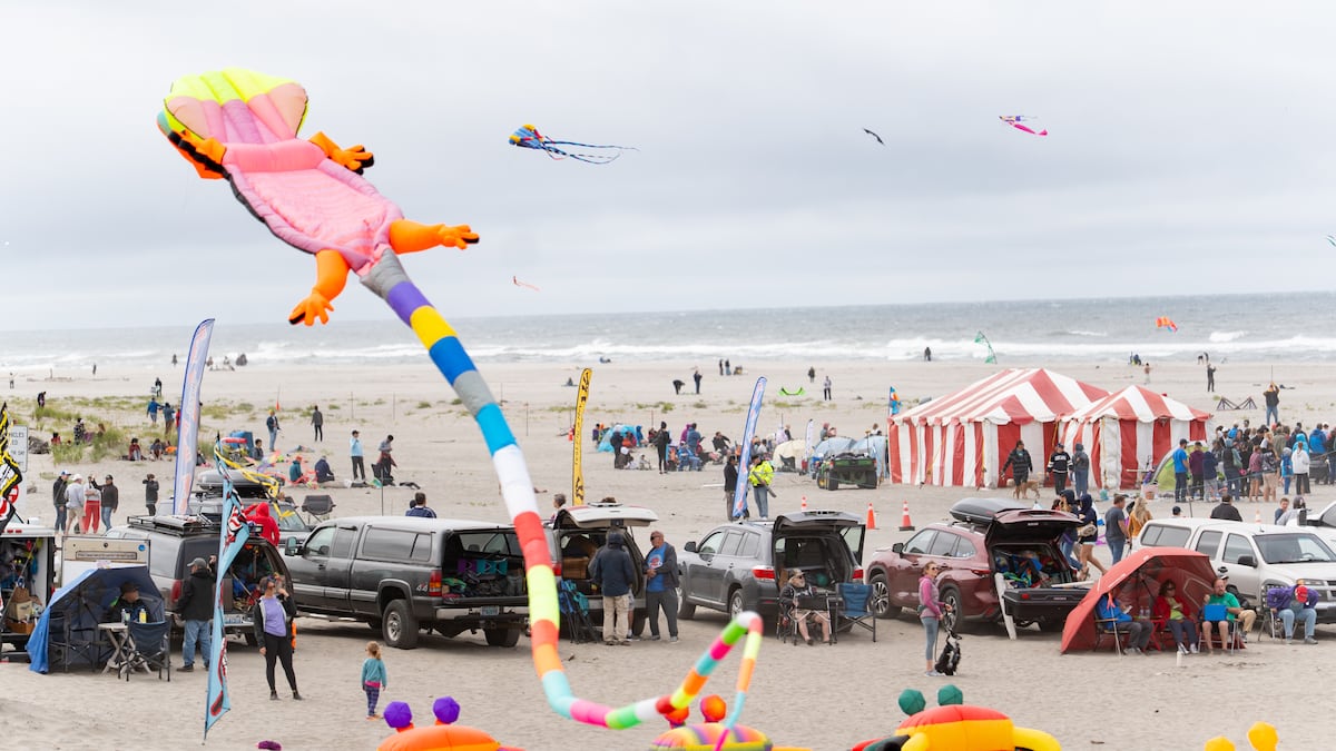 Thousands take to the skies for ‘the Super Bowl of kite festivals’