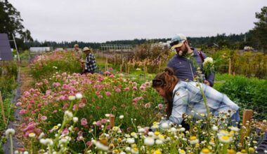28 Fun Things to Do This Week (8.31.26)