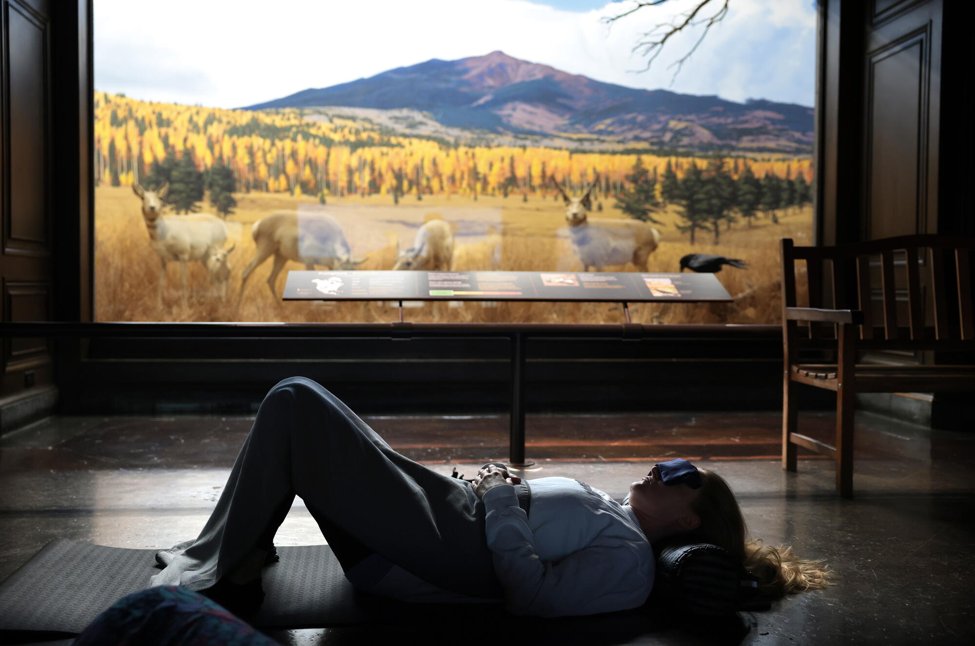 During the practice, participants can peek and see the varied habitats of North America beside them.