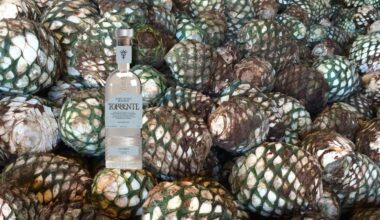The World’s Best New Tequila—According To The 2026 San Francisco World Spirits Competition