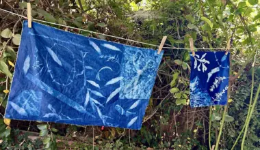 Free Cyanotype Sessions Open at Arlington Garden for Eaton Fire Community Artwork – Pasadena Weekendr