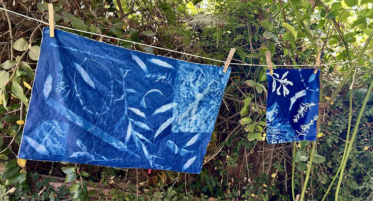 Free Cyanotype Sessions Open at Arlington Garden for Eaton Fire Community Artwork – Pasadena Weekendr