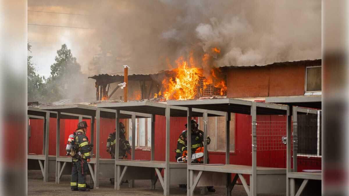 Folsom flea market fire destroys vintage game collection