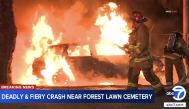 Dirty deeds done dirt cheap in Sacramento, Active Transportation and ebike definition bills pass, and murderous Long Beach hit-and-run driver killed by Border Patrol