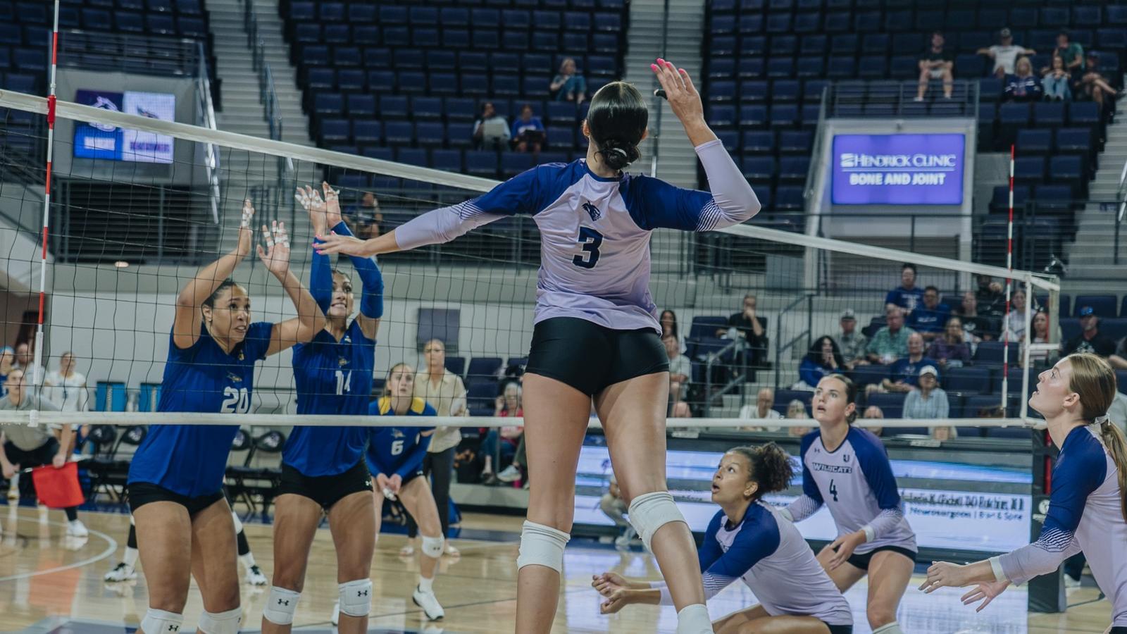 Wildcats Fall to Roadrunners, Mean Green to Close ACU Invitational