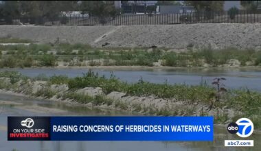 Herbicide use in Orange County waterways draws scrutiny from environmental group, officials