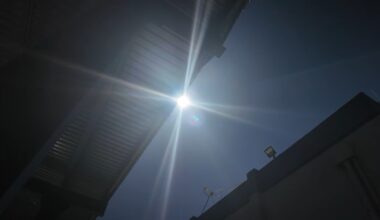 Heat wave prompts health experts to urge checks on seniors and pets
