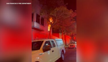1 hurt, 18 rescued from fire at San Francisco apartment building in Alamo Square near Painted Ladies: SFFD