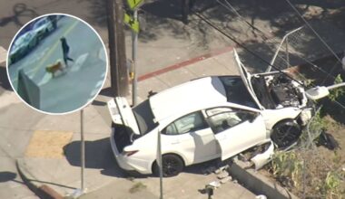7, 4-year-old brothers take parents' car, critically injure woman walking dog in Oakland crash: Police