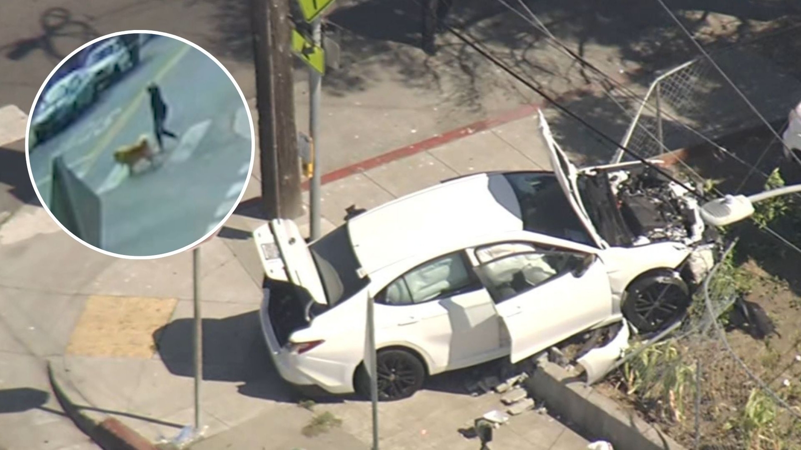 7, 4-year-old brothers take parents' car, critically injure woman walking dog in Oakland crash: Police