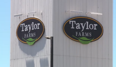Taylor Farms pulls jalapeño products sold at grocery stores