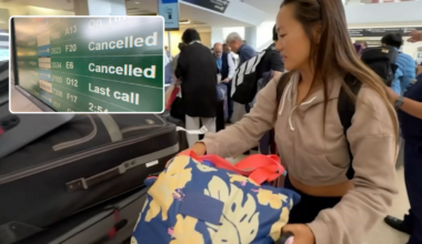 Hurricane Lala prompts Bay Area flight cancellations to Hawaii; locals share their storm preparations