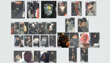 Los Angeles Sheriff's Department shares photos of 27 suspects wanted in East L.A. AutoZone break-ins