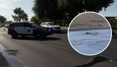 Water main break prompts lane closures on Shaw Avenue in Northwest Fresno
