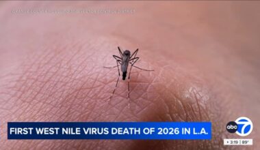 Los Angeles County reports first West Nile virus death of 2026