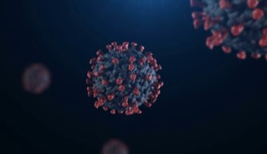 U.S. measles cases reach highest level in decades as Fresno County urges vaccinations