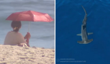 SoCal heat: Beachgoers flock to OC beaches while officials monitor increased marine activity