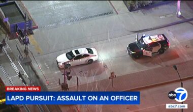 Chase: Assault suspect arrested by LAPD after driving on shredded tire during lengthy pursuit