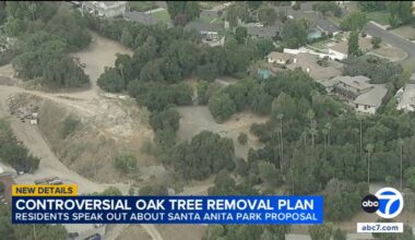 Arcadia residents push back on Santa Anita Park's plan to remove oak trees for 2028 Olympics