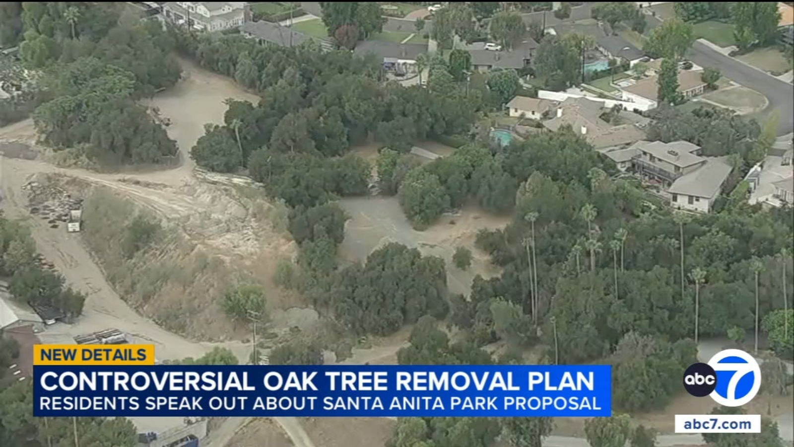 Arcadia residents push back on Santa Anita Park's plan to remove oak trees for 2028 Olympics