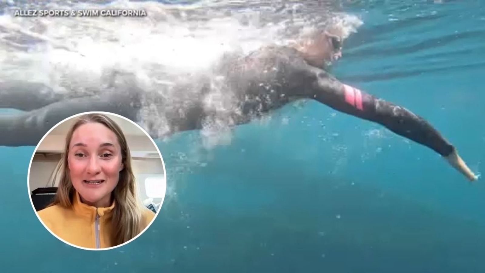 California woman Catherine Breed hits halfway mark in bid to become first to swim state's entire 900-mile coastline