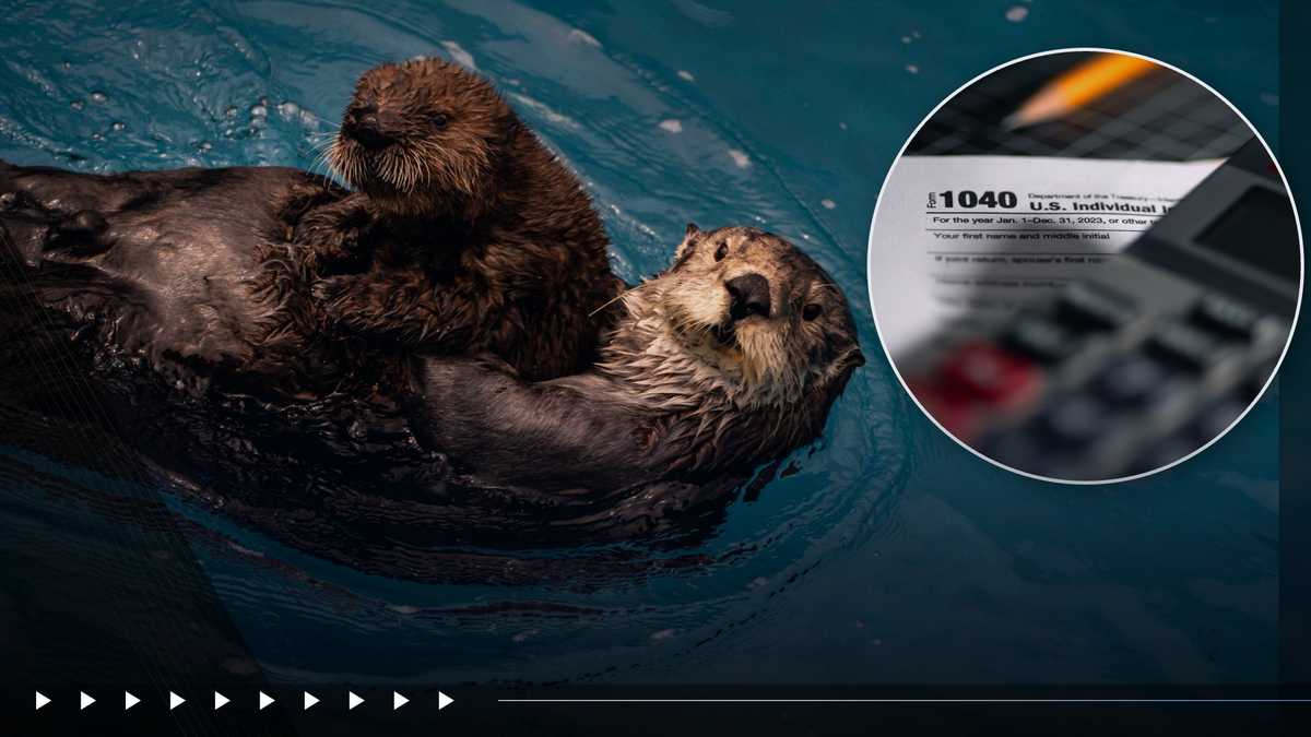 Newsom signs bill to restore California sea otter fund