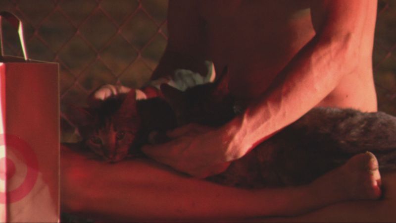 Several cats were given oxygen and water as fire crews worked on a house fire in south Bakersfield Sunday night. PHOTO: KBAK/KBFX
