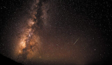 Watch Perseid meteor shower in CA: Viewing times, forecasts