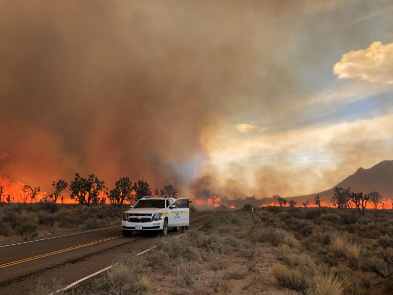In the background orange flames burn across the landscape with a cloud above. In the foreground a forest service truck is parked on a road with the door open.