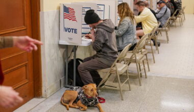 People vote at the San Francisco City Hall voting center in San Francisco