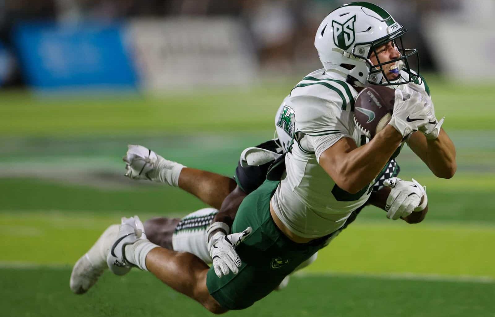 Portland State Vikings