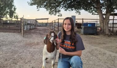 The Big Fresno Fair | Blog