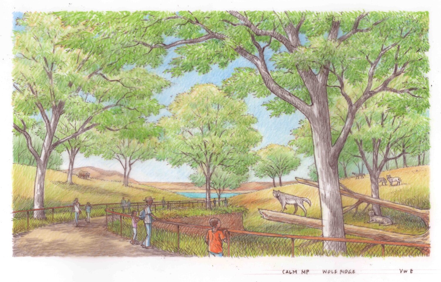 CALM Wolf Ridge