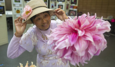 San Francisco’s Dahlia Show Celebrates a Century of Floral Diversity