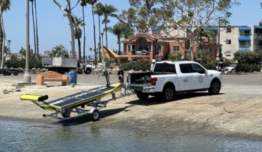 California scientists build robot to look for great white sharks near beaches