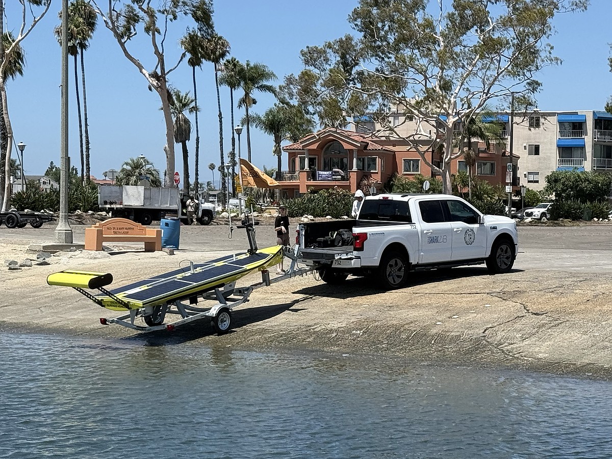 California scientists build robot to look for great white sharks near beaches