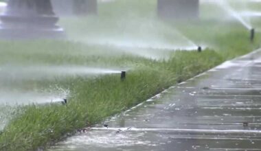 Sacramento leaders propose limits on watering decorative grass