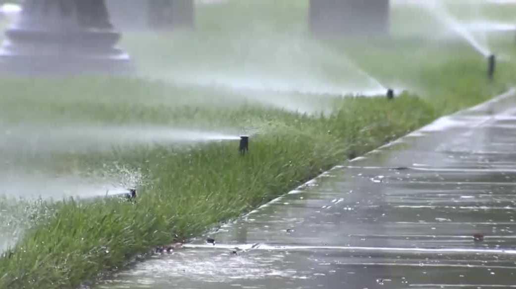 Sacramento leaders propose limits on watering decorative grass