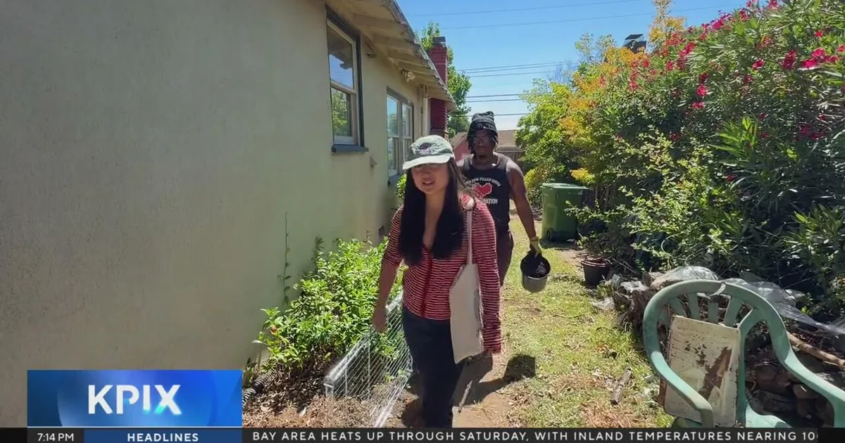 The Pipevine Posse’s Plan to Bring Butterflies to Your Backyard