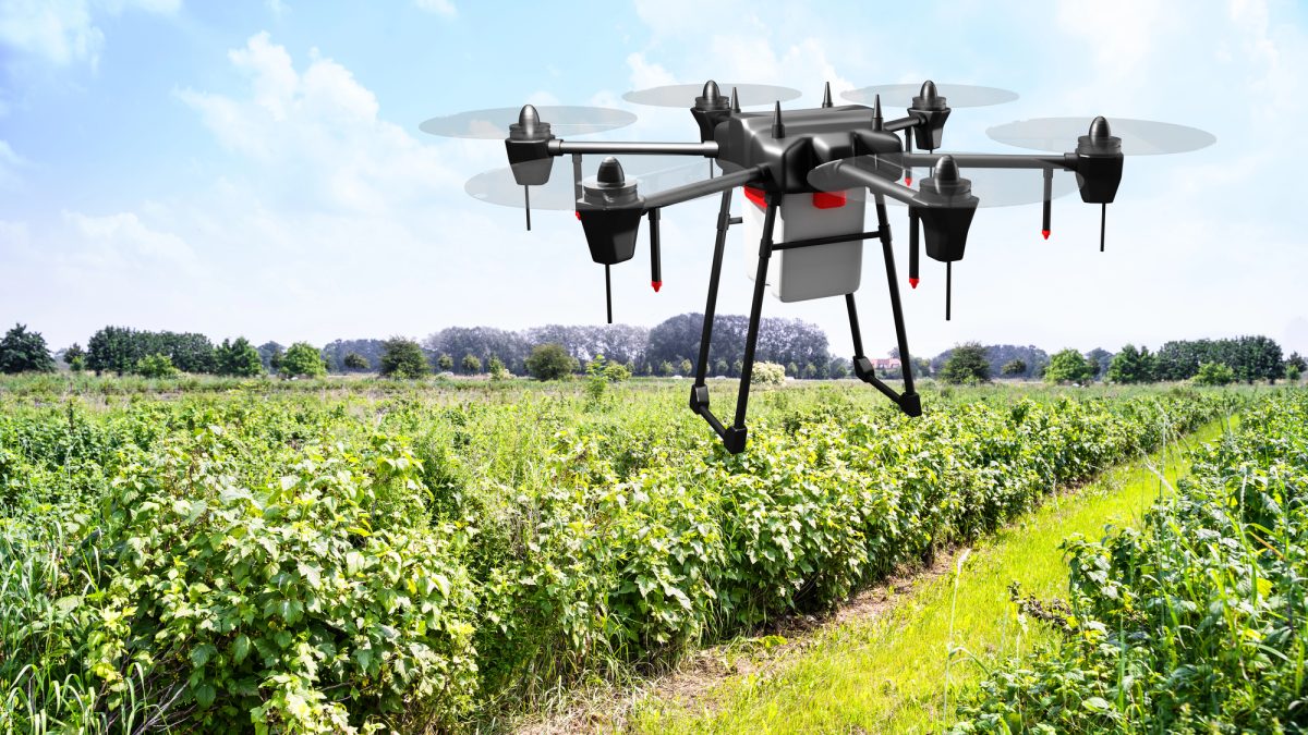 Farm Drone Demos in Fresno County