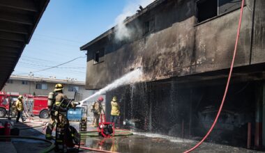 Cats rescued from afternoon fire at North Long Beach apartment complex • Long Beach Post News