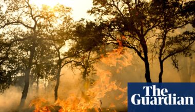At least one person dead in California wildfire allegedly sparked by chainsaw | California wildfires