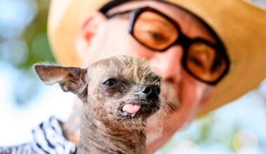 Photos show the World’s Ugliest Dog Contest in California :: WRAL.com