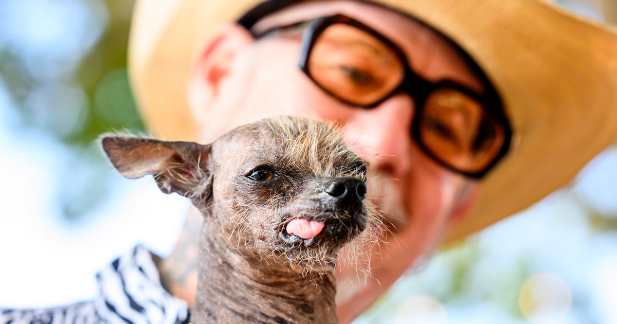 Photos show the World’s Ugliest Dog Contest in California :: WRAL.com