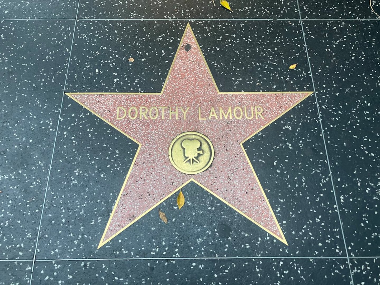 Dorothy Lamour star — 6332 Hollywood Blvd.
