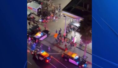 Members of SF punk band arrested during pop-up show in Long Beach – NBC Bay Area
