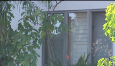 UC San Diego Jewish fraternity vandalized in hate crime according to police – NBC 7 San Diego