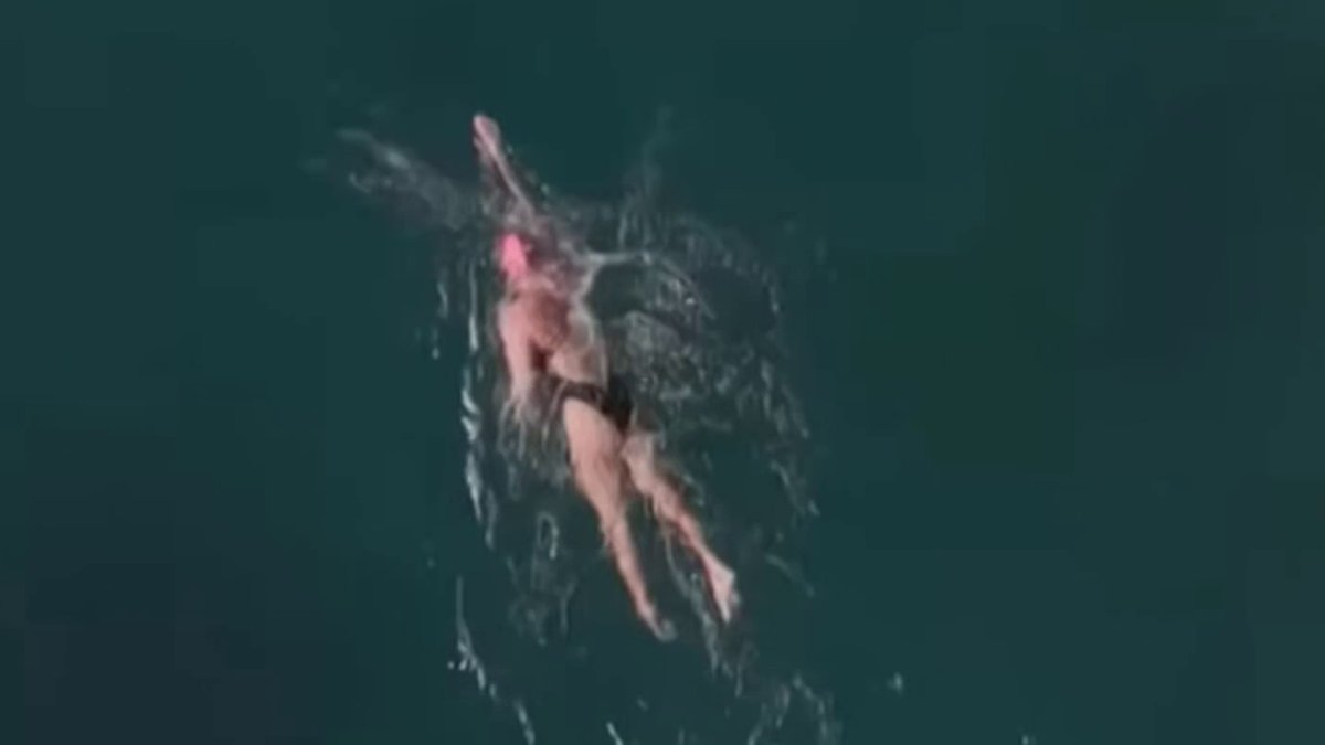 Bay Area woman aims to be the first to swim the whole California coast – NBC Bay Area