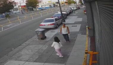 Oakland stabbing spree suspect has lengthy criminal history, records show – NBC Bay Area
