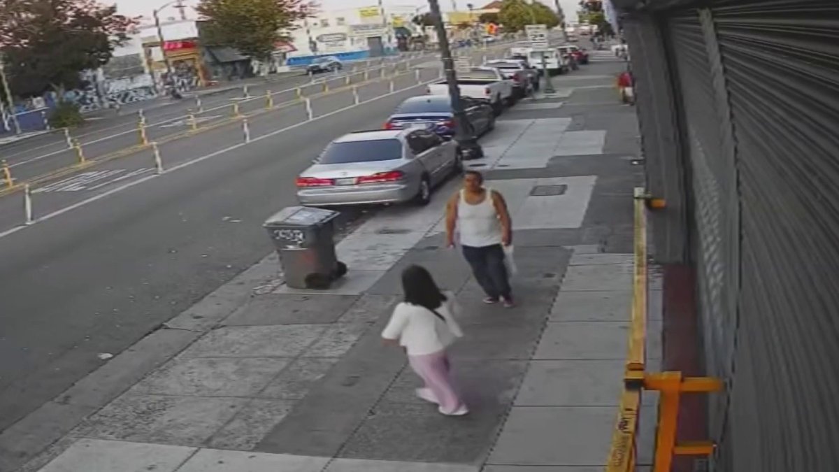 Oakland stabbing spree suspect has lengthy criminal history, records show – NBC Bay Area